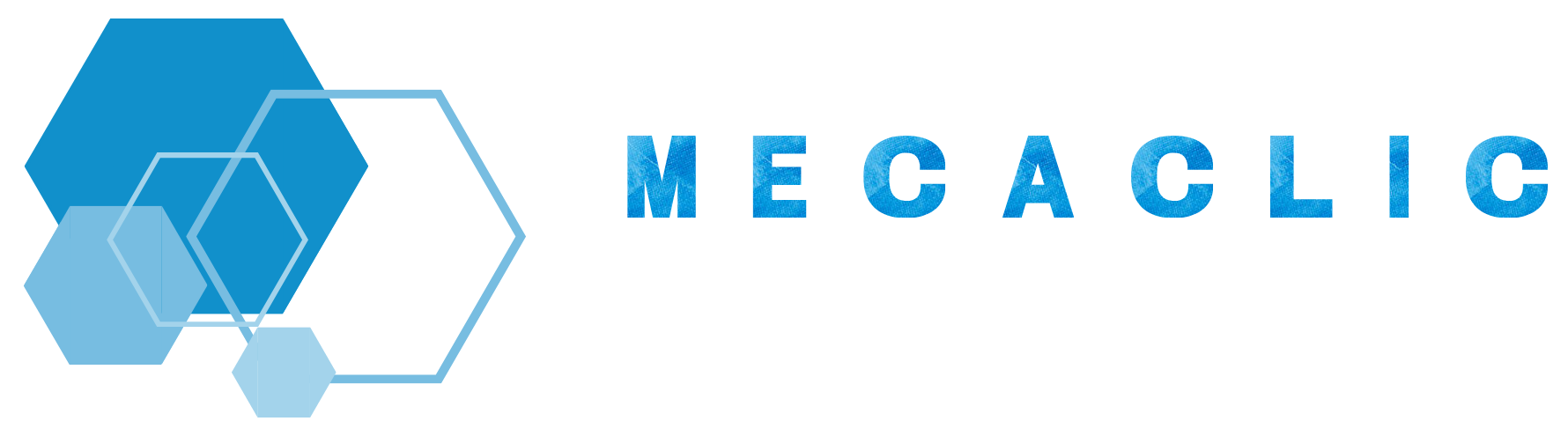 La mécanique auto-mobile professionnelle, là où vous êtes.